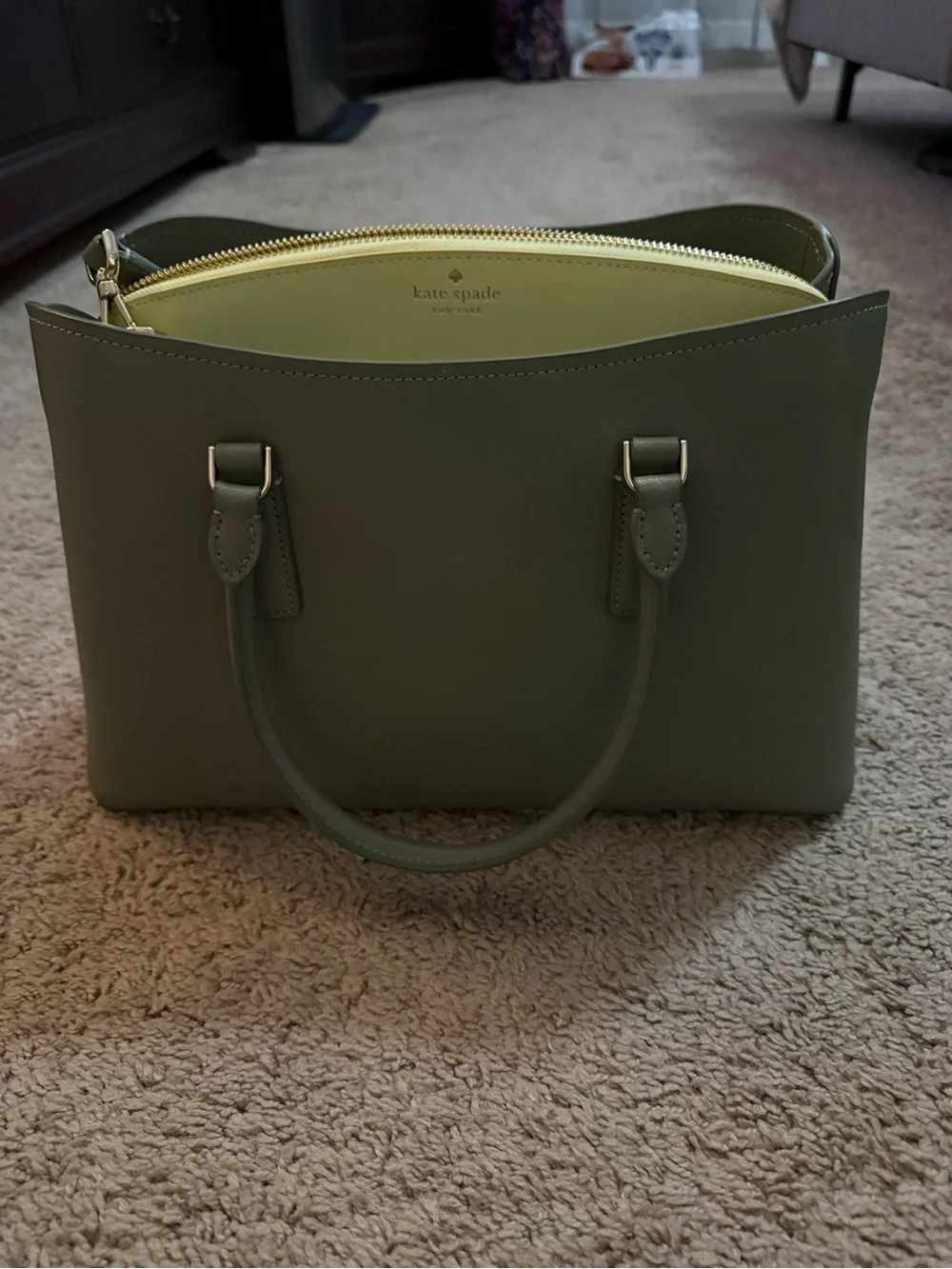 Kate Spade NWOT Dusky Pine Thompson Street Satchel